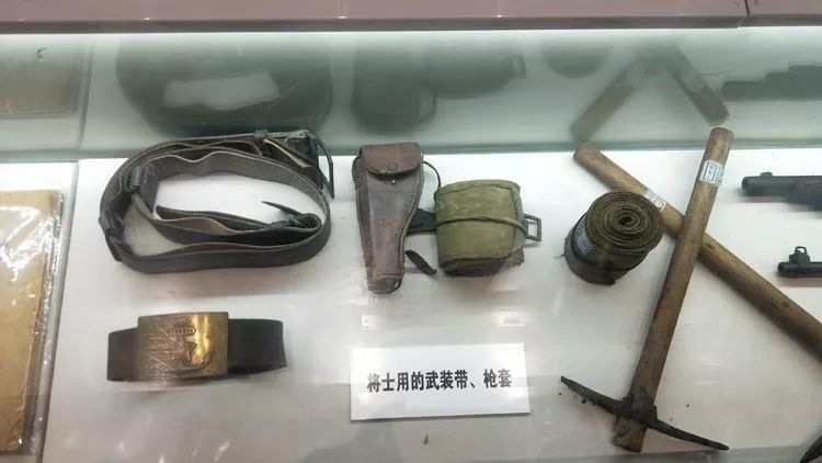 农产品贴上“身份证”&nbsp;——临港区食用农产品合格证制度正式施行(图2)