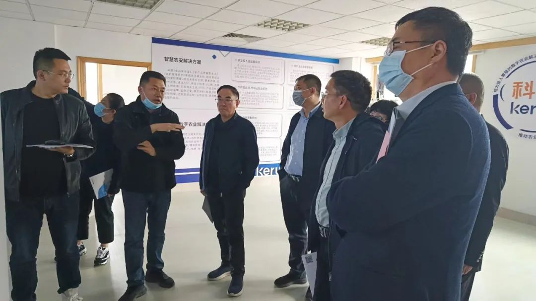浙江丽水市政府领导赴k8.com对数字农业项目考察(图2)